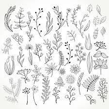 Set Of 50 Doodle Botanical Elements Png Doodle Floral Clipart Svg Doodle Floral Hand Drawn Botanical Clipart Botanical Doodle Set In 2021 Floral Drawing Flower Doodles Flower Drawing