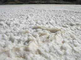 نتیجه جستجوی لغت [solidified] در گوگل