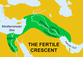 They grew many crops in the fertile crescent. Quotes About Fertile Lands 19 Quotes