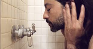 Journal — AMIR MOTLAGH