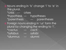 Not sure why cactus is singular plural plural singular both both both singular plural? Give The Plural Form Of Syllabus Mutabikh