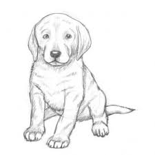 Supercoloring.com ist ein riesenspaß für alle altersstufen, für jungs und mädchen, kinder und erwachsene, teenager und kleinkinder, vorschüler und ältere schulkinder. Welpe Zeichnen Dekoking Com 1 Hund Zeichnen Hund Malen Hundezeichnung