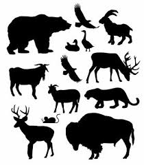 North American Animals Vector Silhouettes Free Vector For Free Download North American Animals Animal Silhouette Animal Stencil