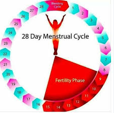Pregnancy Safe Period Chart Bedowntowndaytona Com