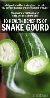 Health benefits of cactus juice. 10 Amazing Health Benefits Of Snake Gourd Health Benefits Chicken And Butternut Squash Gourds