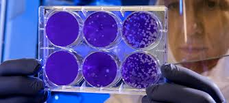 Powder dreams, hard-line realities