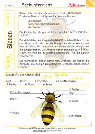 Bienen Aduis