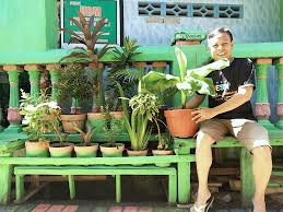 Antara tanaman yang boleh dilakukan di dalam pasu kecil atau bekas diy ialah: Berkebun Di Pekarangan Rumah Sendiri Solusi Pangan Di Masa Pandemi Mongabay Co Id Mongabay Co Id