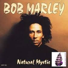 pin on bob marley