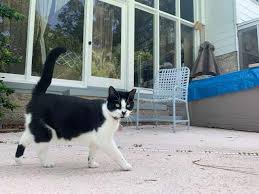 Martha Aiken's Photos