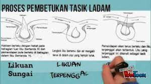 Zat tidak diperlukan dikeluarkan lalu terbentuklah urine sesungguhnya. Powtoon Saliran