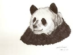 This works as a perfect option for scribbles, freehand drawings, and illustrations. Panda Crosshatch By Vincentwolf On Deviantart