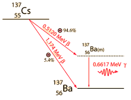 Nuclear Fission Fragments