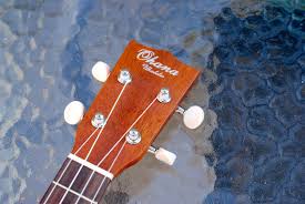 Like most of online stores, best capsule coffee machine 2019 also offers customers coupon codes. Ohana Sk 25 Soprano Ukulele Review