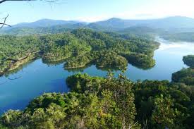 I was too excited may be. Best Hiking Spots Across Malaysia Sri Sutra Travel