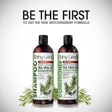 Get Clean Dandruff Free Hair And A Chance To Win A Year S Worth Of Shampoo From Shiny Leaf Join Our Shiny Leaf Tea Tree Oil Shampoo Oil Shampoo Tea Tree Oil