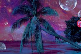 Danijela Spitzer (@dani.ropi) • Instagram photos and videos