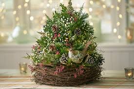 Mix about a pint of plaster powder with about 1 ½ cups water to make a thick mixture. How To Make Decorations For A Christmas Tree Ideas Thebuzzqueen Com