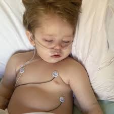 Fundraiser by Alyse Wagner : Get well soon our Dino Nathan