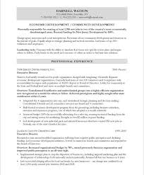 Community Development Executive Page1 Community Development Free Resume Samples Job Resume Examples