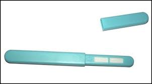 Posso Fazer O Teste De Gravidez De Farmacia Antes Do Atraso Medico Responde
