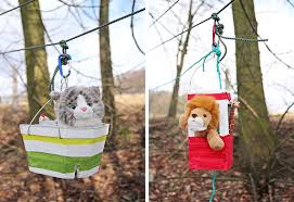 Mit Kindern Eine Seilbahn Fur Kuscheltiere Basteln Kizz In 2020 Basteln Kuscheltier Basteln Mit Kindern