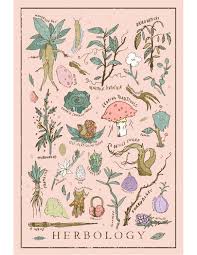 Illustrationcanspeak Harry Potter Herbology Print Poster 12 X 18 Wall Art Illustrated Hogwarts Class Print Poster Prints Harry Potter Art Illustration