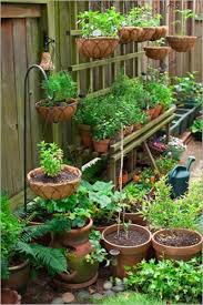 Learn To Grow Beautiful Flowers Ferns And Other Plants In Planters Both Indoors And Outd Small Vegetable Gardens Container Gardening Vegetables Veggie Garden