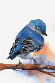 Louise De Masi Watercolor Bluebird Watercolor Bird Bird Watercolor Paintings Bluebird Painting