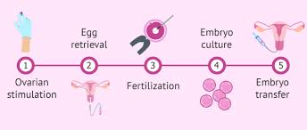 Surrogate candidate requirementsrequirements to be a surrogate. Professionals Involved In Surrogacy Agencies Attorneys Clinics