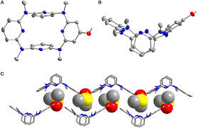 Jika anda ingin menelusurinya lebih lanjut, maka anda bisa coba ketikkan 111.90 l.150.204 di address bar browser di pc atau smartphone android anda. Frontiers Hydroxy Substituted Azacalix 4 Pyridines Synthesis Structure And Construction Of Functional Architectures Chemistry