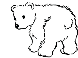 Polar Bear Coloring Pages Printable Sleeping Bear Coloring Page Voyancedirecte 800 X 600 Pixels Polar Bear Coloring Page Bear Coloring Pages Bear Drawing