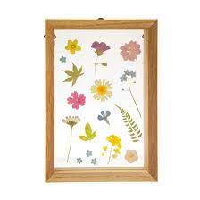 A little while ago i wrote a piece on pressing flowers, well now it's time to unleash those bad boys and bask in their floral glory! Sass Belle Floating Frame At Mighty Ape Nz