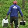 Sweden Approves Nearly 1,000 Work Permits for Foreign Berry Pickers Amid Tougher Labor Controls