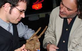 Tyrannosaur left a tooth behind in another dinosaur