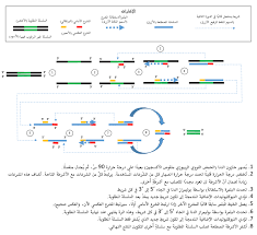 تفاعل البوليمراز المتسلسل ويكيبيديا