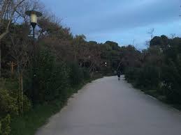 Από τον απρίλιο του 2008 άρχισαν εργασίες για ριζική ανάπλαση του πάρκου, παρά τη δυσπιστία και τις αντιδράσεις των κατοίκων. Pedion Toy Arews Ka8aro Apo Narkwtika Alla Polla Akomh Ta Problhmata Lifo