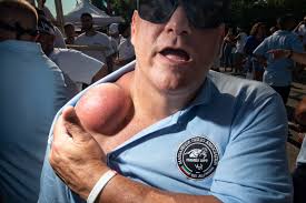 St Giglio Feast Massapequa