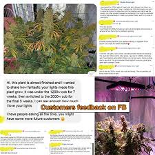 May 19, 2009 · just about to start my first 2000 watt hps grow with barney farm blue cheese fem, g13 nlxskunk fem, greenhouse seeds himalayan gold fem, and some candy gram clones. Aglex Cob 2000 Watt Led Grow Light Full Spectrum Plant Grow Lamp With Daisy Chain Veg And Bloom Switch For Hydroponic Greenhouse Indoor Plant Veg And Flower Pricepulse