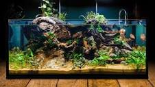 Making The Best and Easiest DIY Aquariums From IKEA? - YouTube