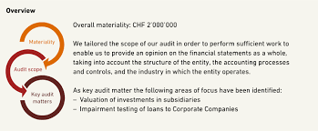 A statutory audit is an audit, which is made mandatory by law. Report Of The Statutory Auditor To The Annual Shareholders Meeting Annual Report 2018