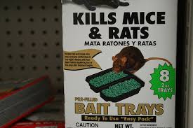 Diy Rat Poison Recipe Cheap Simple 100 Safe Until Prepared