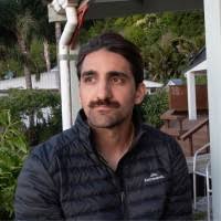 1600+ "Lamonica" profiles