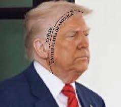 Liz Cheney/Adam Kinzinger Against Trump