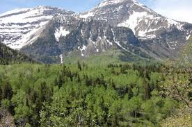 You can also enter american fork canyon from the top of the canyon by taking hwy 92 past the sundance resort. American Fork Canyon Alpine Loop Bild Von American Fork Wasatchkette Tripadvisor