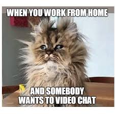 Video Chat Cat Working From Home Meme Funny Images Working From Home