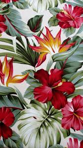 Birds Of Paradise Wallpaper Hd Pin By Rosy On Art Flower Wallpaper Birds Of Paradise Flower Wallpaper Backgrounds