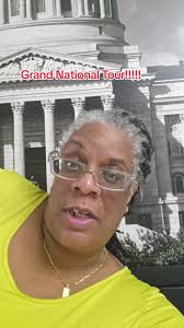 St Louis Dome Limited View 143 Seat