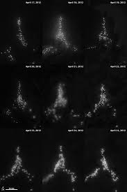More images for scary ocean pictures at night » Something Fishy In The Deep Dark Ocean