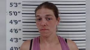 UPDATE: The second suspect has been arrested in Ozark weekend car robbery